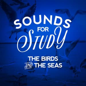 Sounds for Study: The Birds and the Seas - Natural Forest Sounds