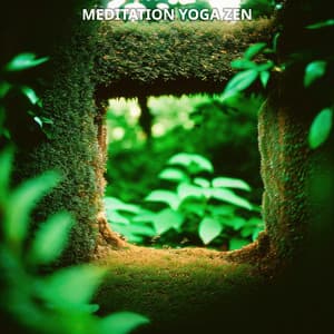 Meditation Yoga Zen Mindfulness No. 1 - Meditation Music