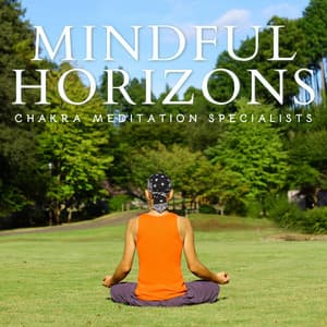 Mindful Horizons: Relaxing Meditation - Chakra Meditation Specialists