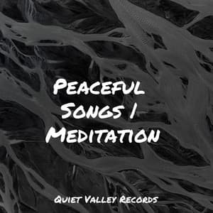 Peaceful Songs | Meditation - Pro Sound Effects Library