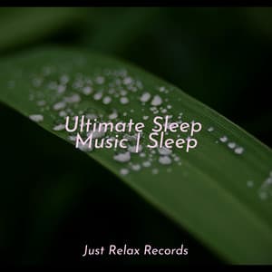 Ultimate Sleep Music | Sleep - Yoga