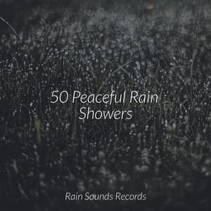 50 Peaceful Rain Showers - Spa & Spa