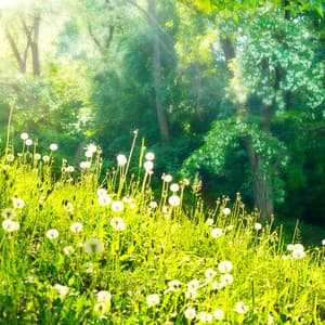 Happy Pads - CreativeWaves