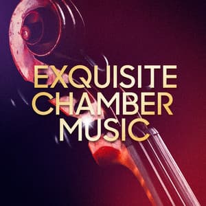 Exquisite Chamber Music - Exam Study Classical Music Orchestra