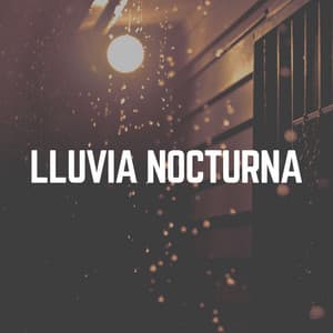 Lluvia Nocturna - Cascada de Lluvia