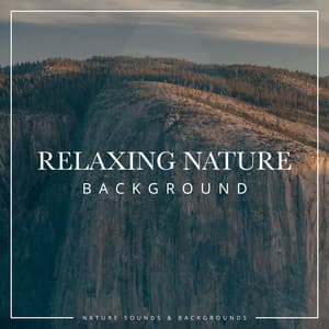 Relaxing Nature Background - Nature Sounds & Backgrounds
