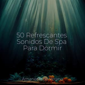 50 Refrescantes Sonidos De Spa Para Dormir - Saludo al Sol Sonido Relajante