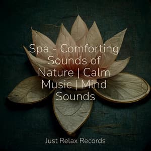 Spa - Comforting Sounds of Nature | Calm Music | Mind Sounds - Meditación Guiada