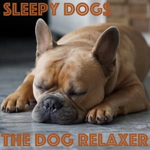 Sleepy Dogs - The Dog Relaxer