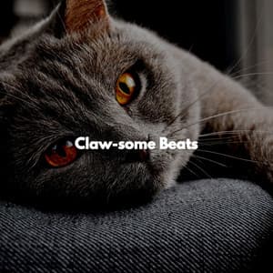 Claw-some Beats - Calming Cat Music
