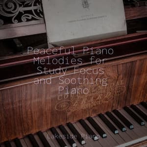 Peaceful Piano Melodies for Study Focus and Soothing Piano - SD