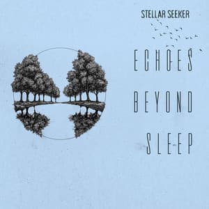 Echoes Beyond Sleep - Stellar Seeker