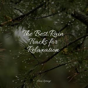 The Best Rain Tracks for Relaxation - Ambient Rain