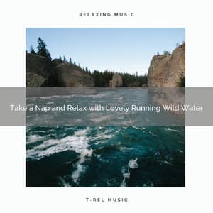 2021 New: Take a Nap and Relax with Lovely Running Wild Water - Sleep Music System