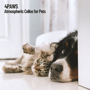 4Paws: Atmospheric Cellos for Pets - Music For Cats