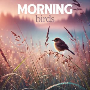 Morning Birds - Bruits naturels