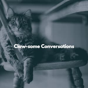 Claw-some Conversations - Soothing Cat Music