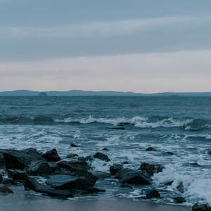 50 Ambient Songs: Static Sounds - White Noise