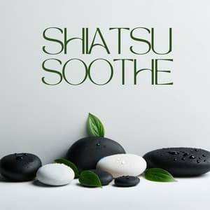 Shiatsu Soothe - Anandani