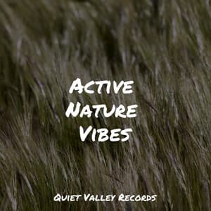 Active Nature Vibes - Rain Sounds Rain