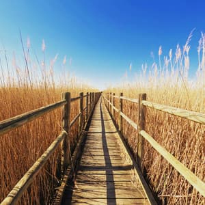 1 Chakra Unlocked: To New Frontiers - Spa Music Relaxation