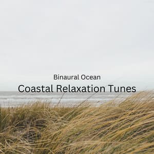 Binaural Ocean: Coastal Relaxation Tunes - Solfeggio Frequencies 528Hz