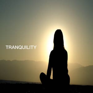 Tranquility - Sleep Sound Library