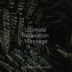 Ultimate Relaxation Massage - Thunderstorm Sound Bank