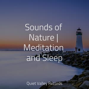 Sounds of Nature | Meditation and Sleep - Yoga Namaste