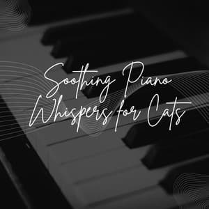 Soothing Piano Whispers for Cats - #Pianoclassico