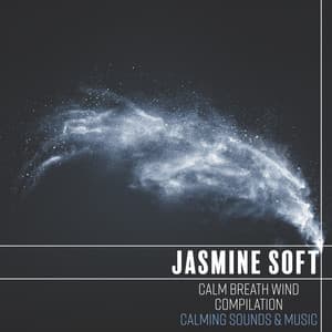 Calm Breath Wind Compilation: Calming Sounds & Music, ASMR Wind Edition - Natural Sounds Music Academy