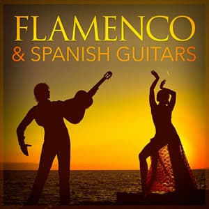 Flamenco and Spanish Guitars - Guitarra Clásica Española