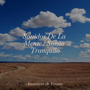 Sonidos De La Mente | Sueño Tranquilo - Sonido de lluvia