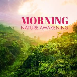 Morning Nature Awakening: Healing and Gentle Nature Sounds for Relaxation - Hypnosis Nature Sounds Universe