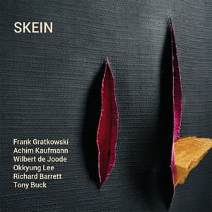 Skein - Frank Gratkowski