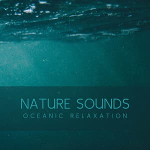 Nature Sounds Oceanic Relaxation - Ocean Sounds