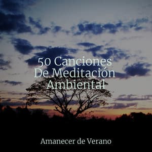 50 Canciones De Meditación Ambiental - Canciones Para Niños