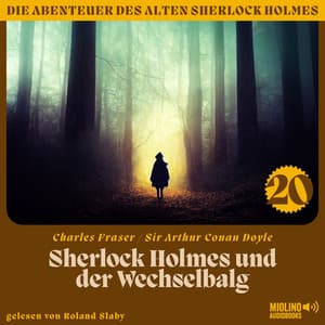 Sherlock Holmes und der Wechselbalg - Der alte Sherlock Holmes
