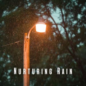 Nurturing Rain: Baby's Blissful Slumber with Crystal Singing Bowl - The Rain Sounds Nature Experts