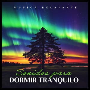 Sonidos para dormir tranquilo - Música Relajante