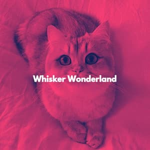 Whisker Wonderland - Relax My Cat