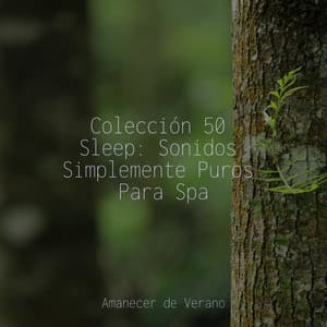 Colección 50 Sleep: Sonidos Simplemente Puros Para Spa - Musica de Piano Escuela