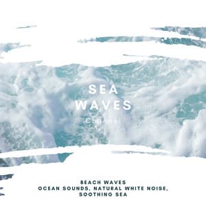 Beach Waves: Ocean Sounds, Natural White Noise, Soothing Sea - Sea Waves Channel