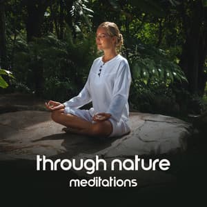 Through Nature Meditations - Universe of Nature Orchestra