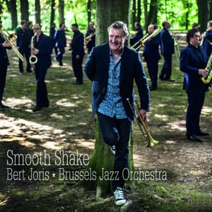 Smooth Shake - Brussels Jazz Orchestra