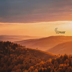 Quieting the Mind - Trouble Sleeping Music Universe