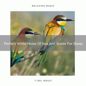 Perfect White Noise Of Sea And Water For Sleep - The Noise Project