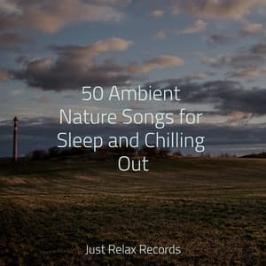 50 Ambient Nature Songs for Sleep and Chilling Out - Kinderliederbande