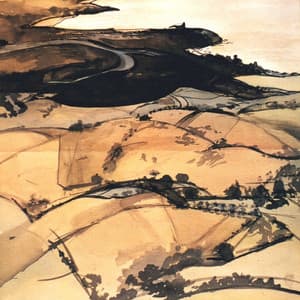 Forgotten Fields - Mark Isaacs