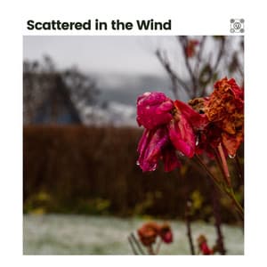 Scattered in the Wind - Baby Sleep Rain